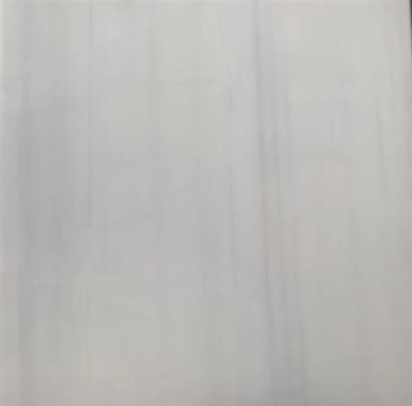 南斯拉夫白